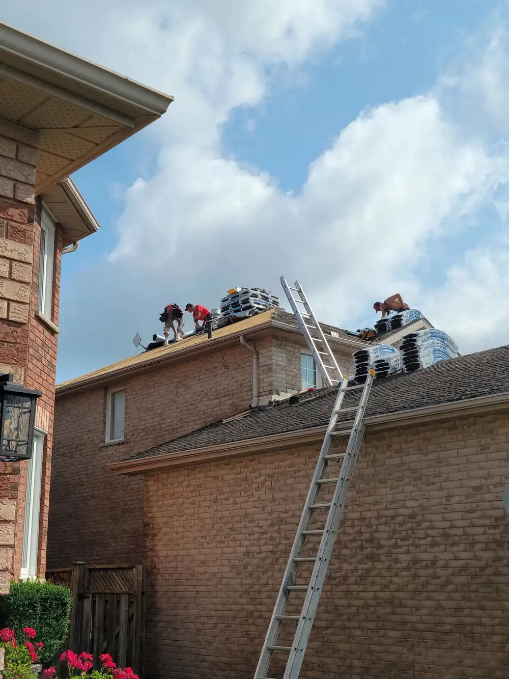 A Ready Roofing & Renovations job site during a roof replacement.